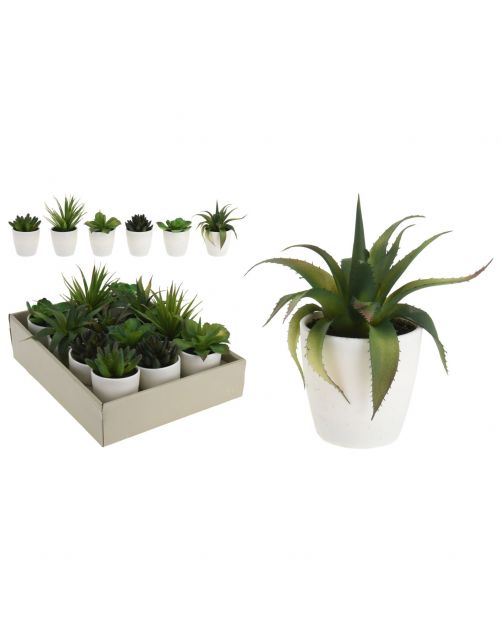 Homestyle Plant In Pot - Kunstplanten - 15 cm 6 Assorti