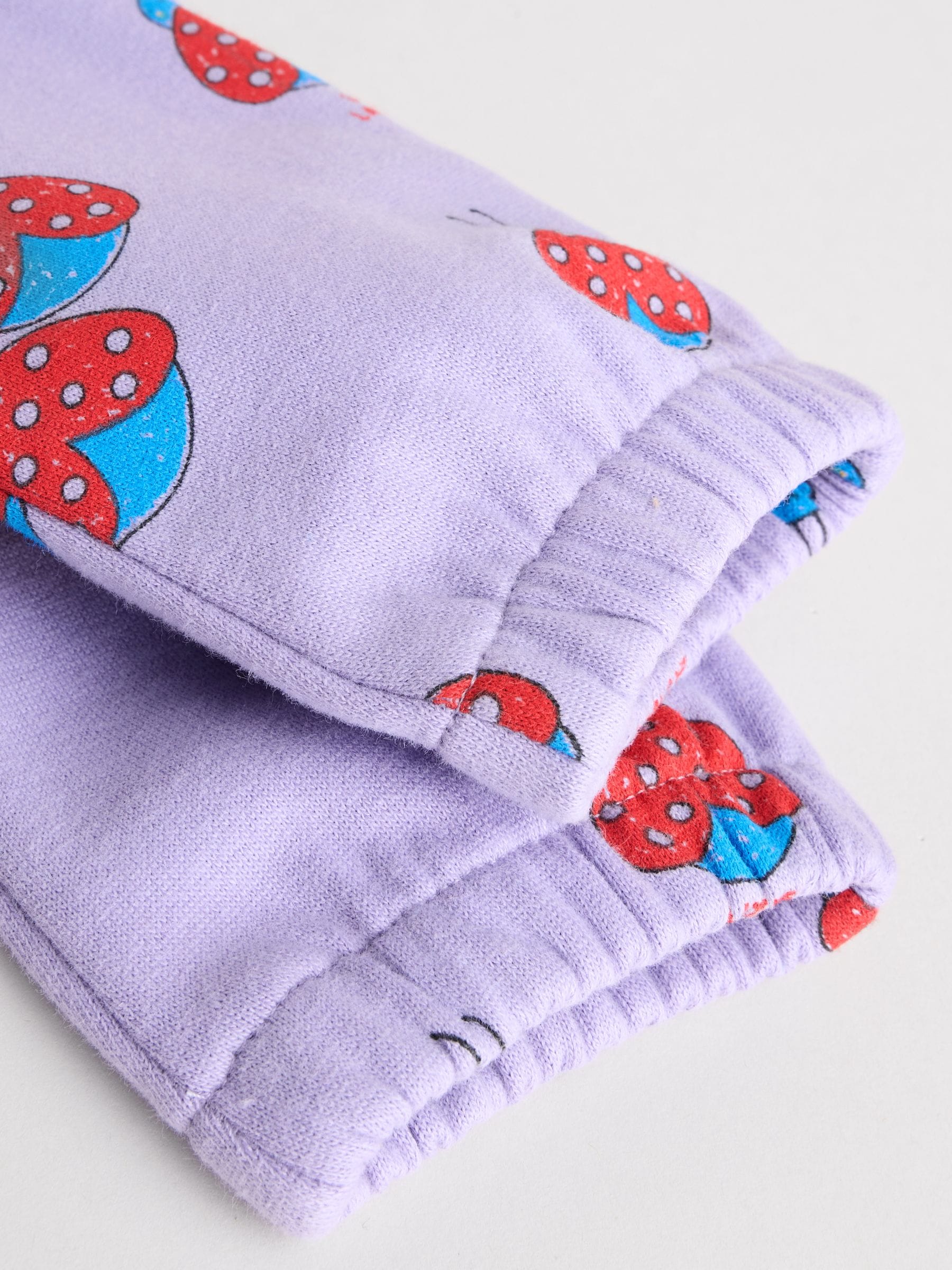 Paarse Lieveheersbeestje - Set van 2 -delige Baby Sweater en Joggingbroeken (0mnd -2jr)