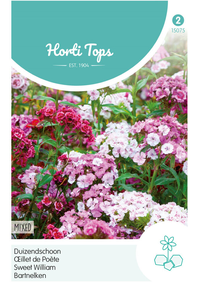 Hortitops Duizendschoon laag - Bloemzaden