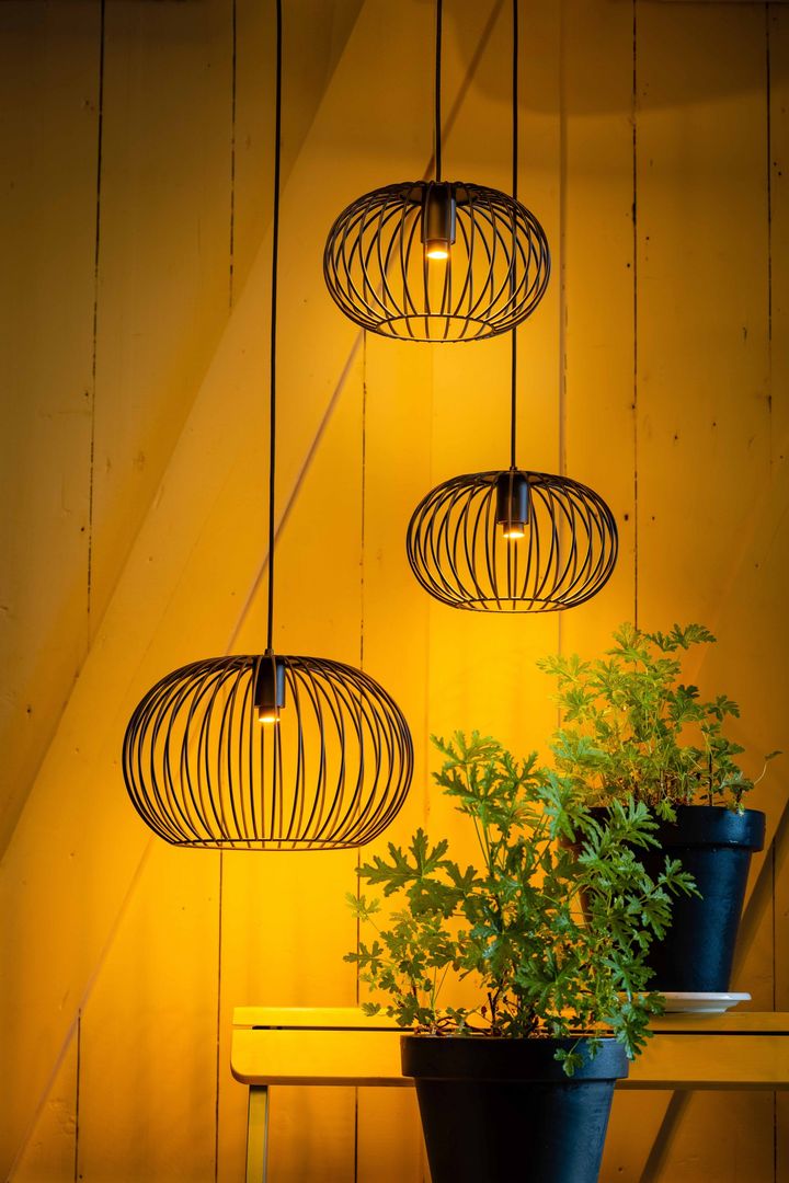 Eijerkamp Collectie   Wire 2.0 Plafondlamp
