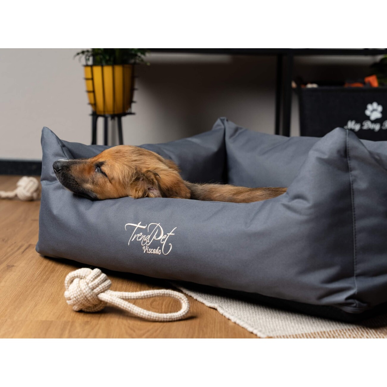 TrendPet Viscado orthopädisches Hundebett grau S