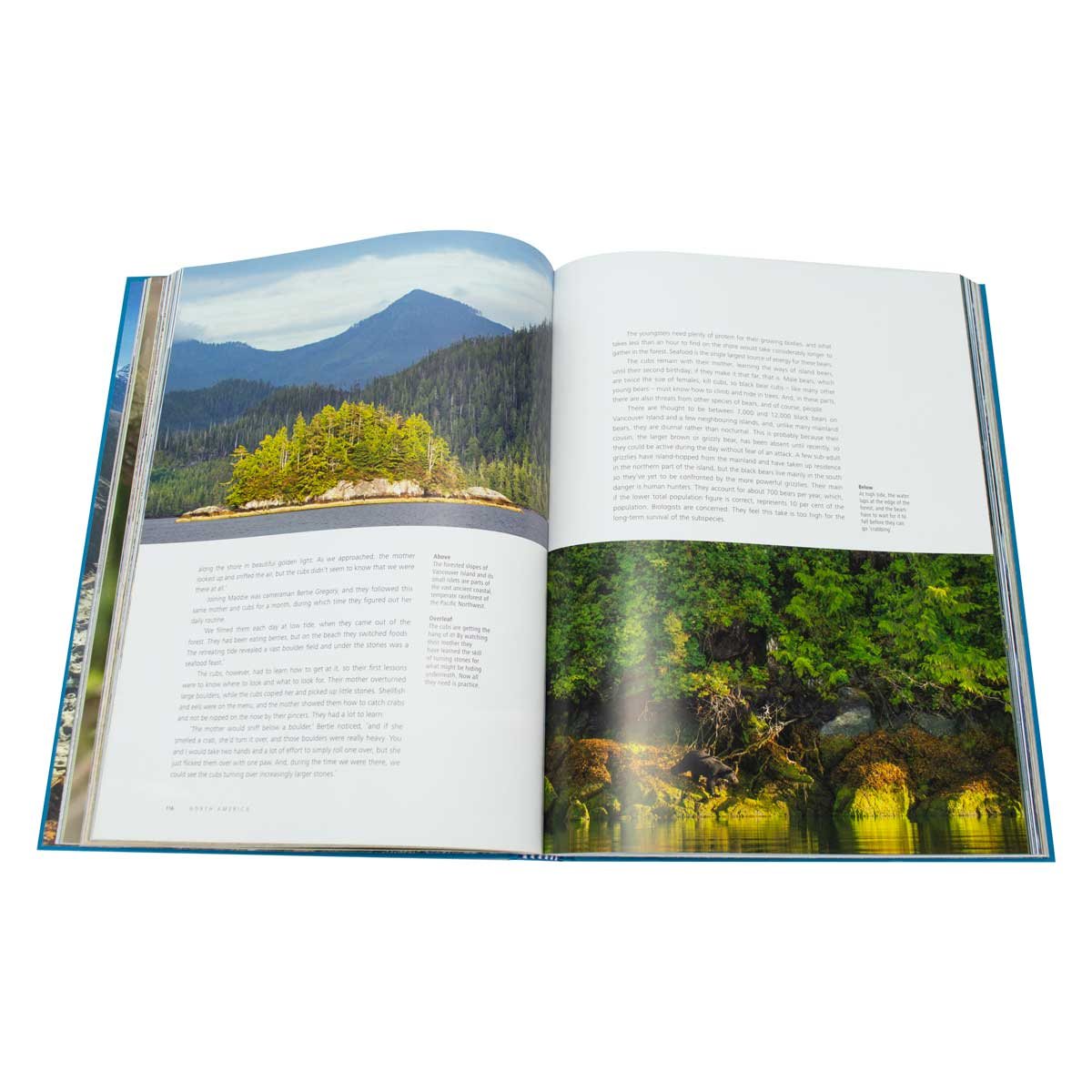 Seven Worlds One Planet (Hardback)