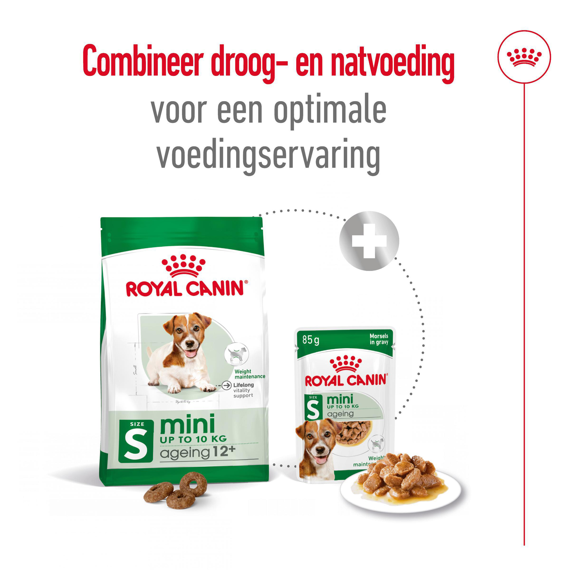 Royal Canin Mini Ageing 12+ - Hondenvoer