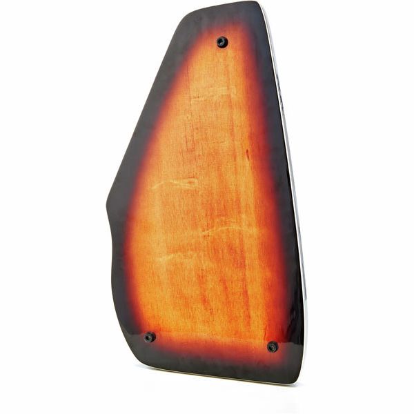 Oscar Schmidt OS110 21FNE Autoharp