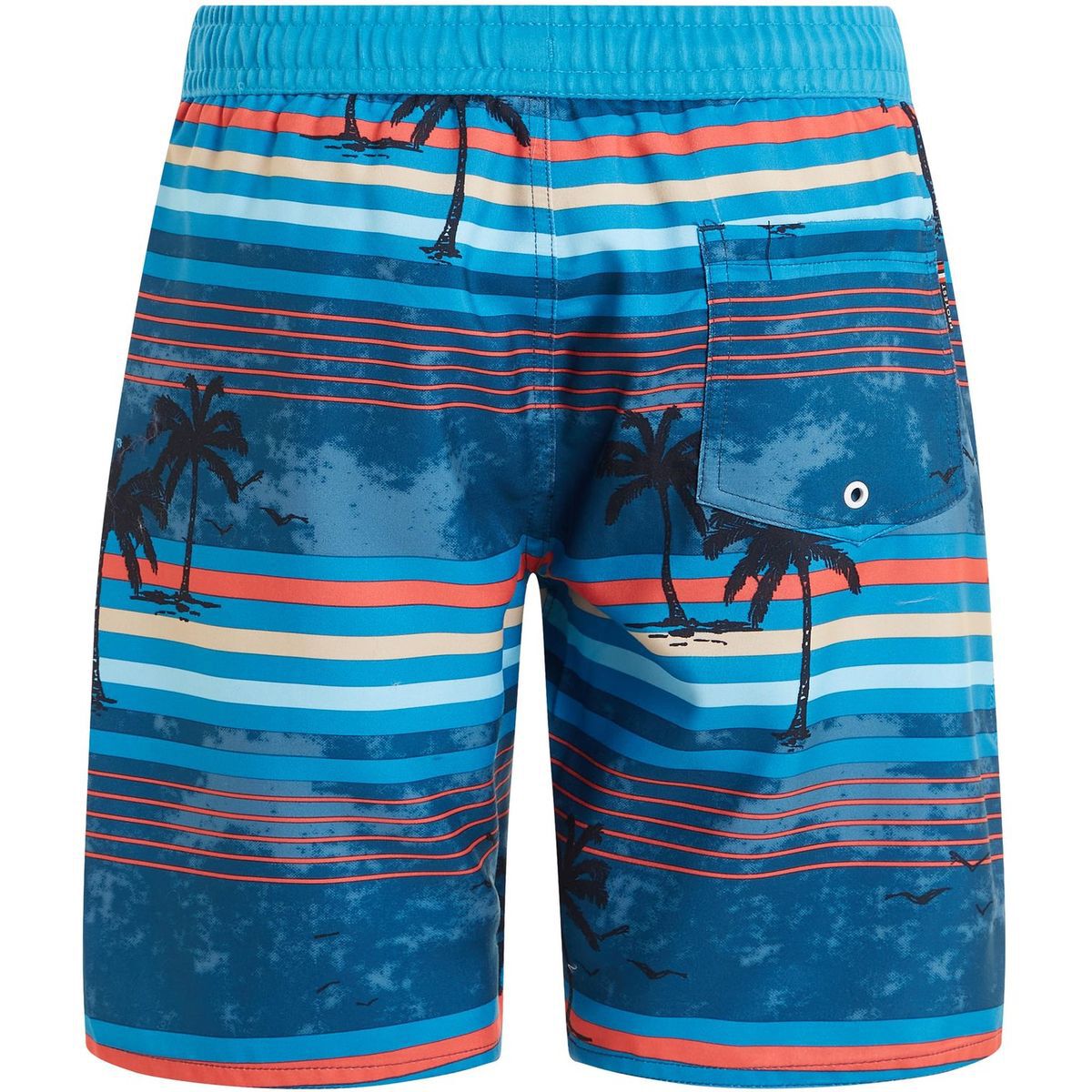 ProtestPRTJASON JR beachshort