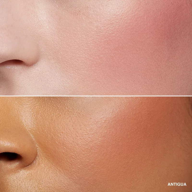 Bobbi Brown Blush 3,5 gr. - Antigua