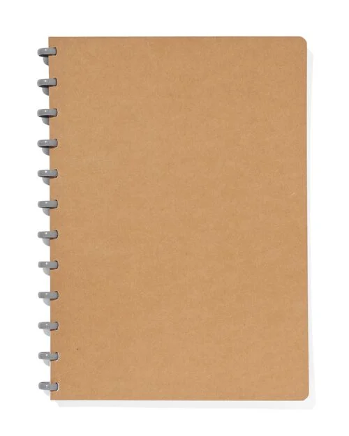 cahier à anneaux A4 ligné kraft