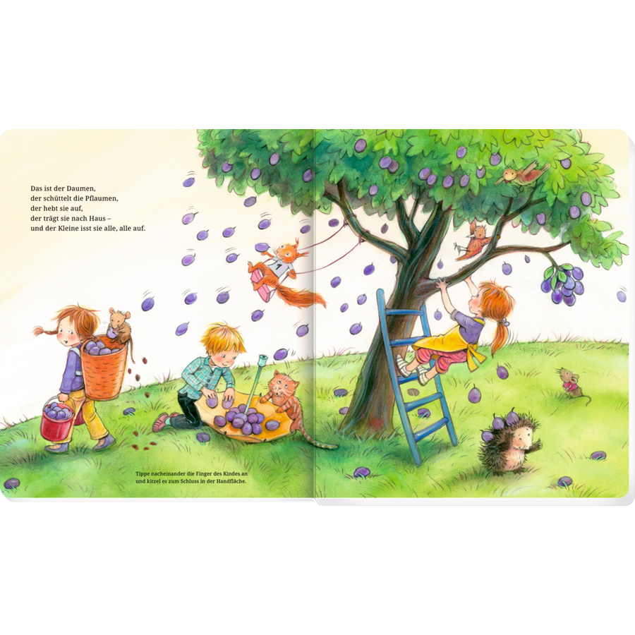 Coppenrath Mein Fingerspiele-Schatz (Verse)