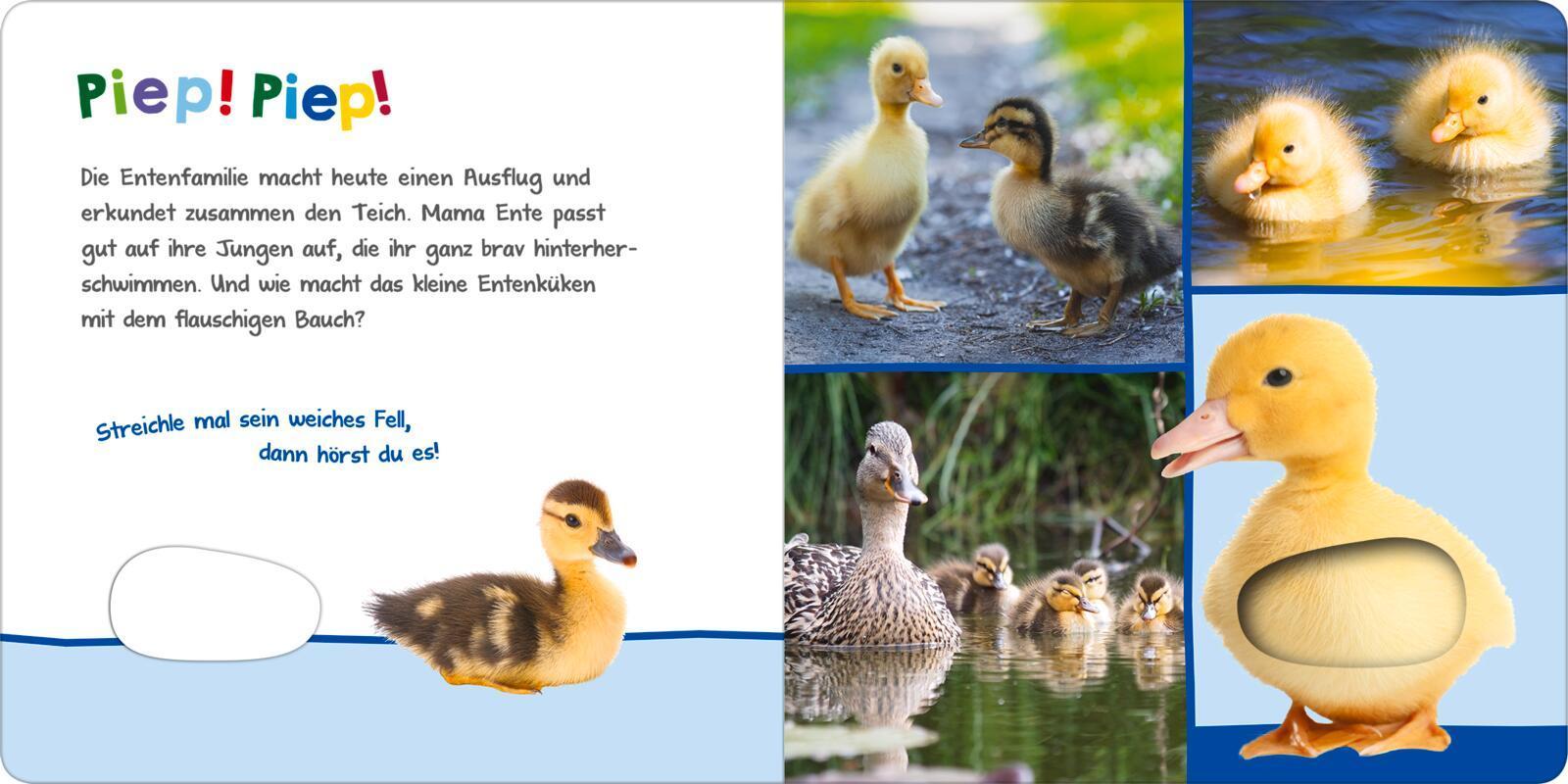Hör mal rein, wer kann das sein? - Tierkinder im Frühling