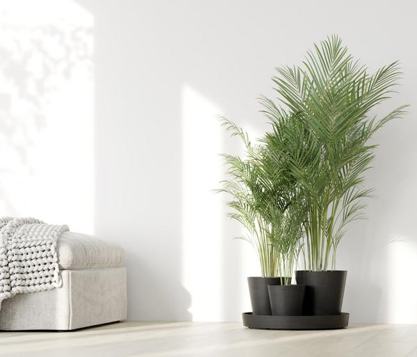 Ecopots Kunststoff-Topf-Set Dubai mit