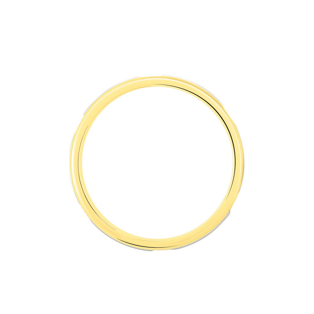 Alliance Sequana Ruban Plat Or Bicolore