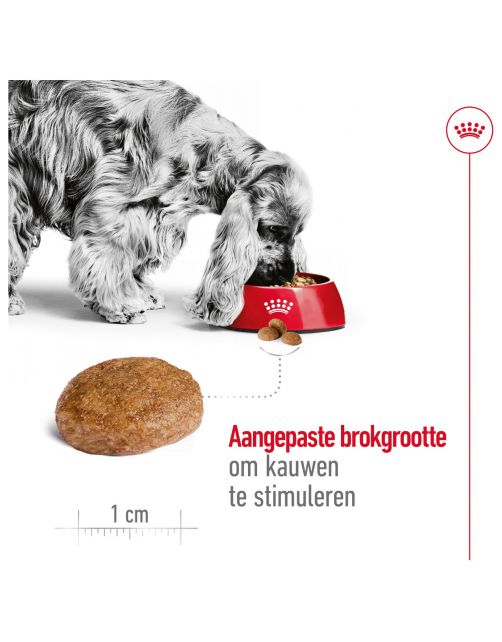 Royal Canin Medium Adult 7+ - Hondenvoer