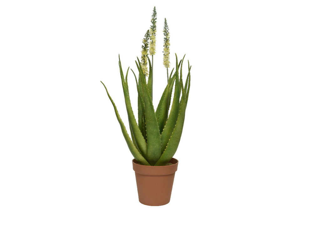 Agave artificielle en pot plastique