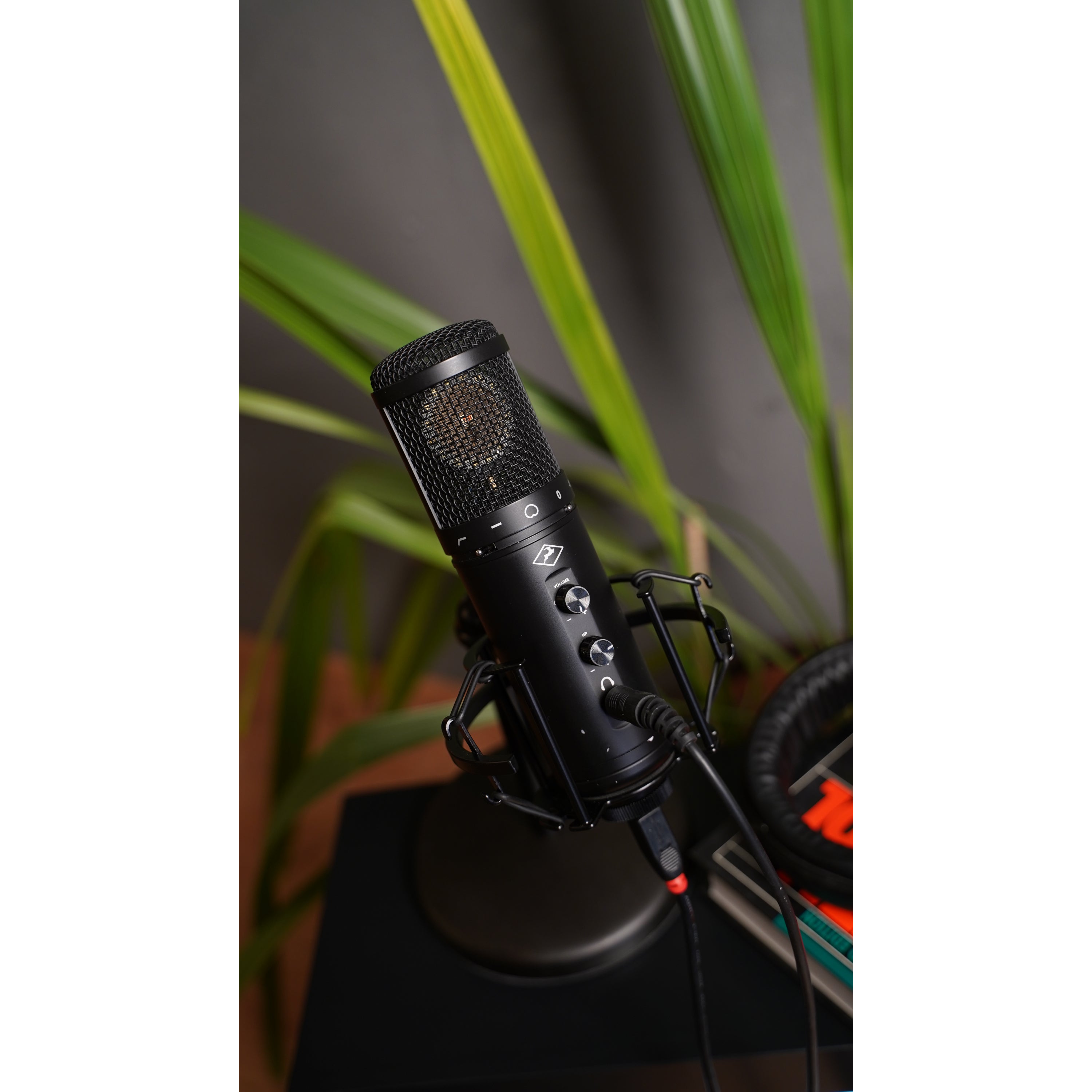 Antelope Audio Axino Synergy Core modelling microfoon met audio interface