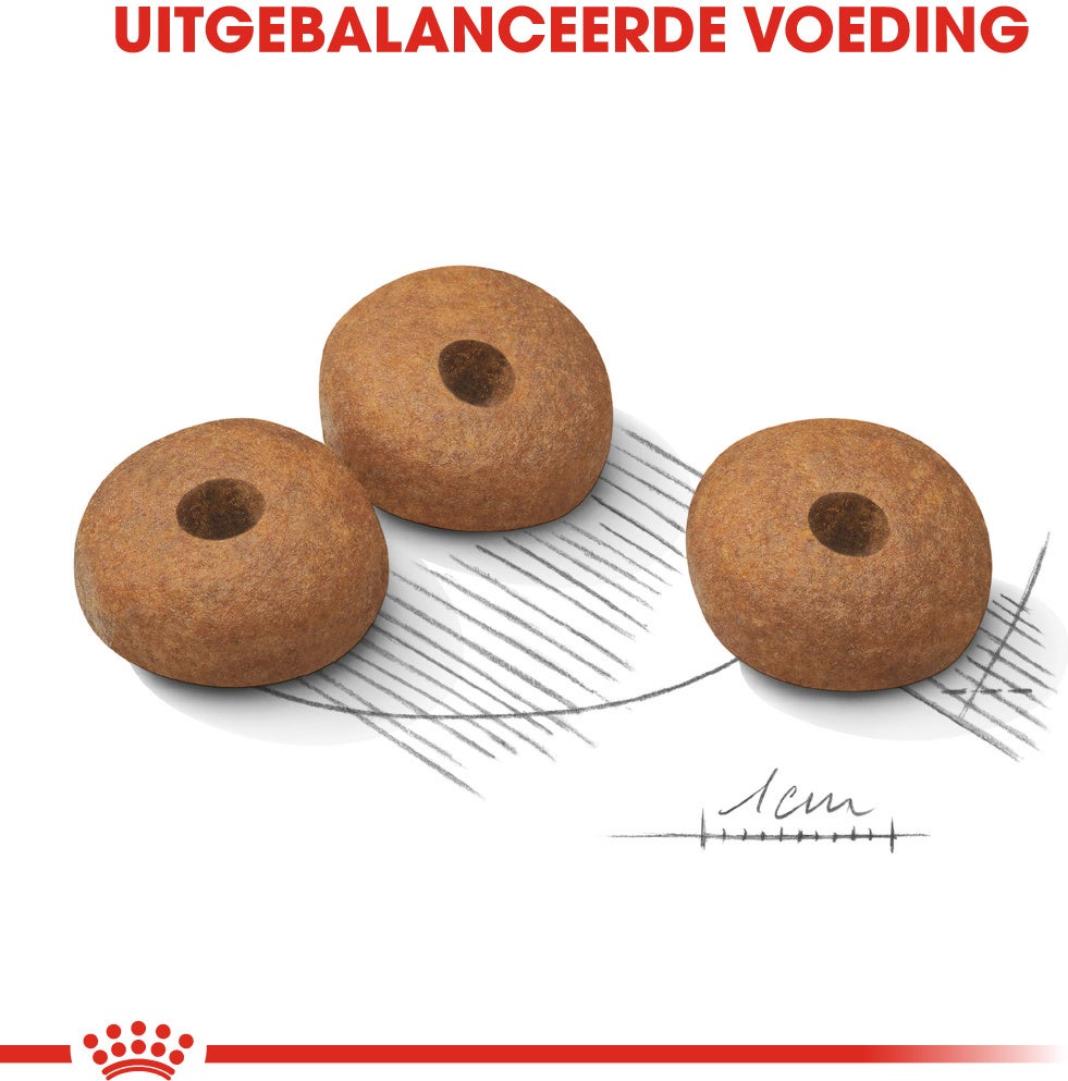 Royal Canin hondenvoer Light Weight Care Medium 3 kg