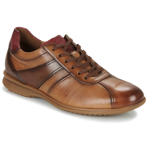 Lloyd - DAVOS - Cognac