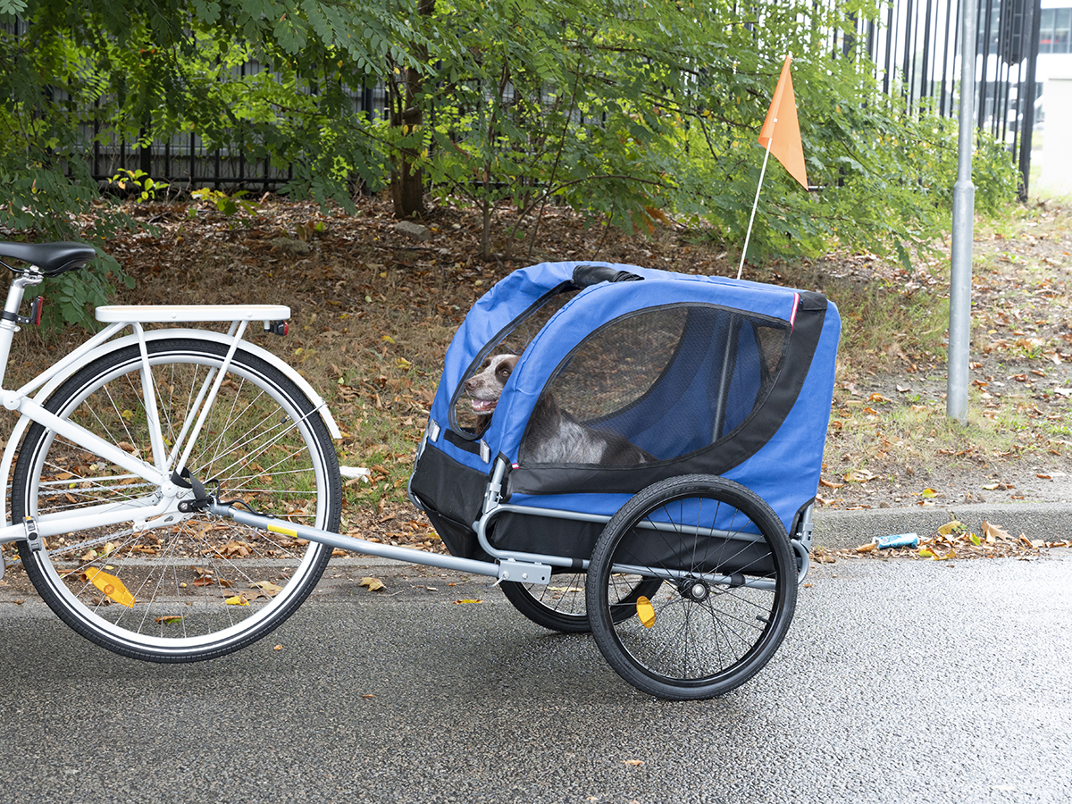 Bicycle Gear hondenfietskar