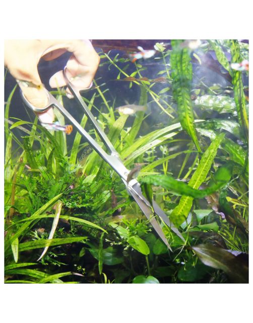 Jbl Proscape Tools S 20 Straight - Aquascaping - 20 cm