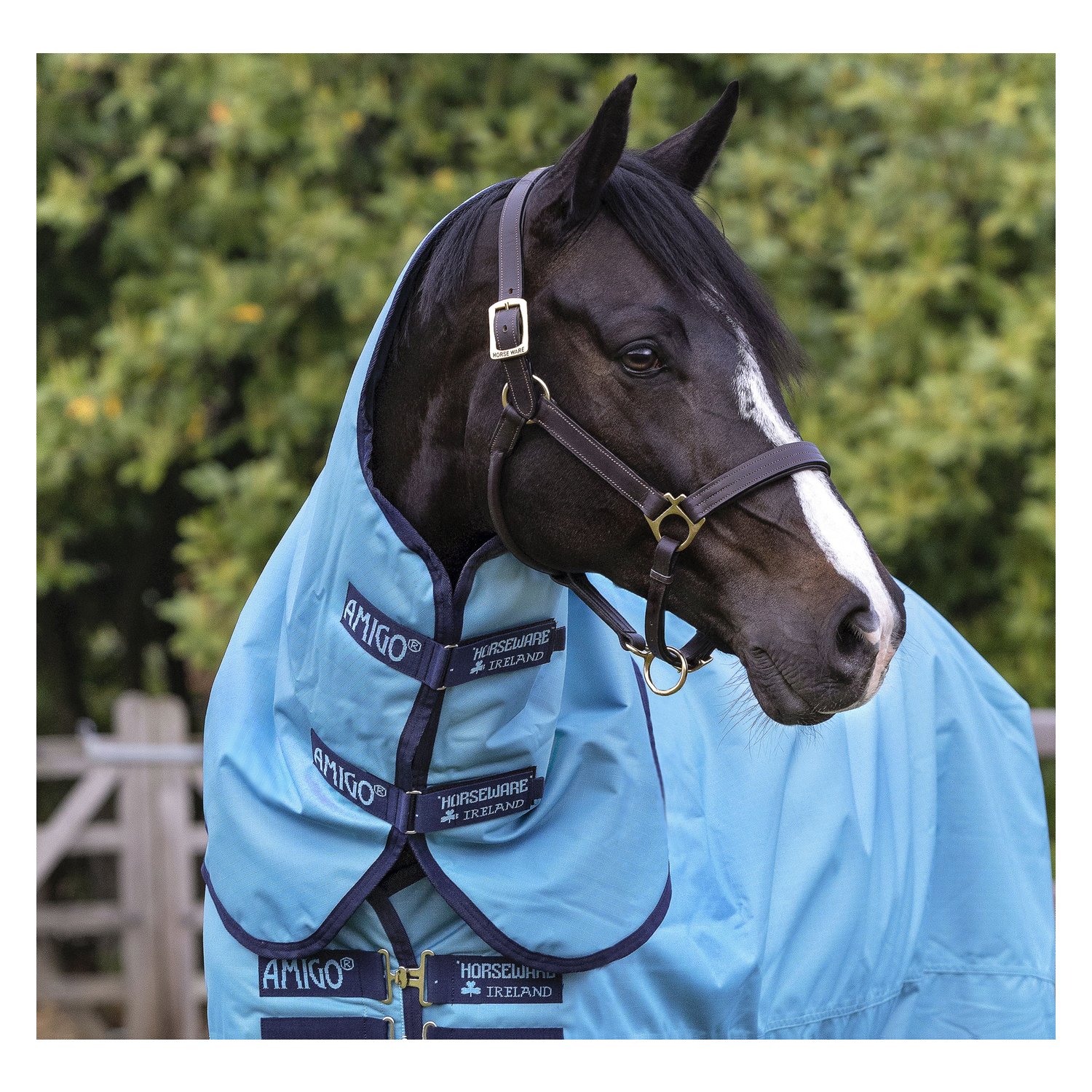 HORSEWARE Halsteil AMIGO Hero Ripstop - delphinium/blue & navy