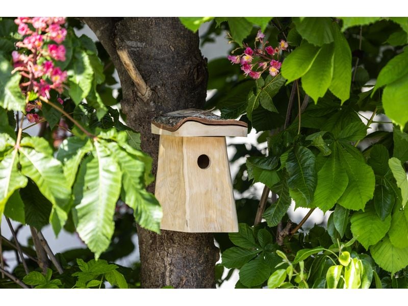 Windhager Nistkasten Log Cabin 21 x 18 x 26 cm, natur, FSC Nisthilfe