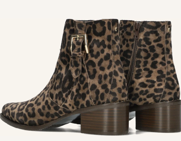 Floris van Bommel SFW-50065 taupe