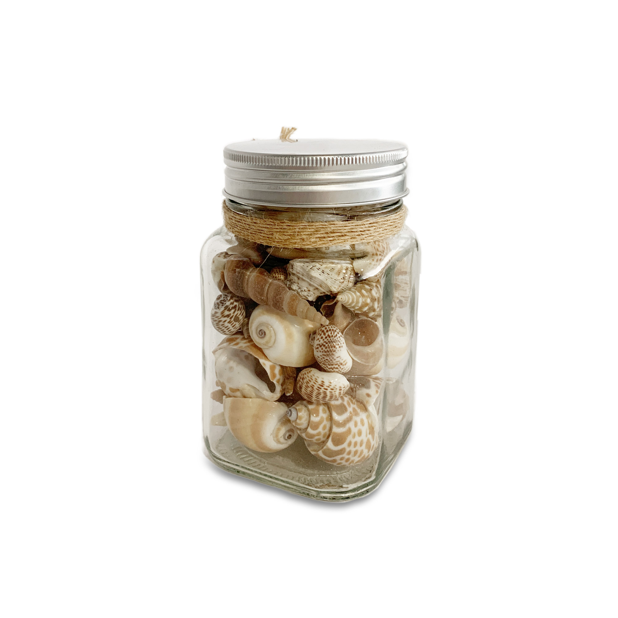 Muscheln & Schnecken im Glas, H 11 cm, B 7 cm, L 7 cm von fischer's lagerhaus