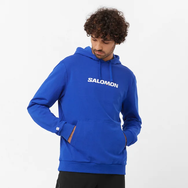 SALOMON LOGO PERFORMANCE  Kapuzensweatshirt Herren