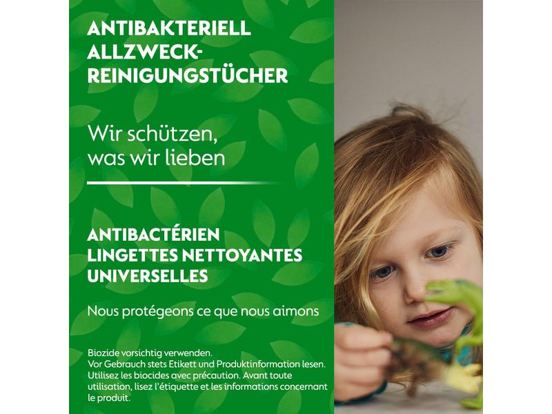 Dettol Allzweck-Reinigungstücher Granatapfel & Limette 60 S Antibakterieller Oberflächenreiniger mit fruchtigem Duft