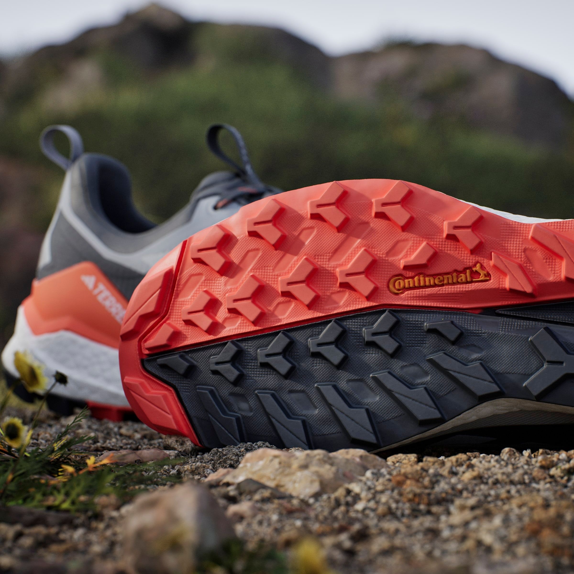 adidas TERREX Wanderschuh »TERREX FREE HIKER 2.0 LOW GORE-TEX«  wasserdicht