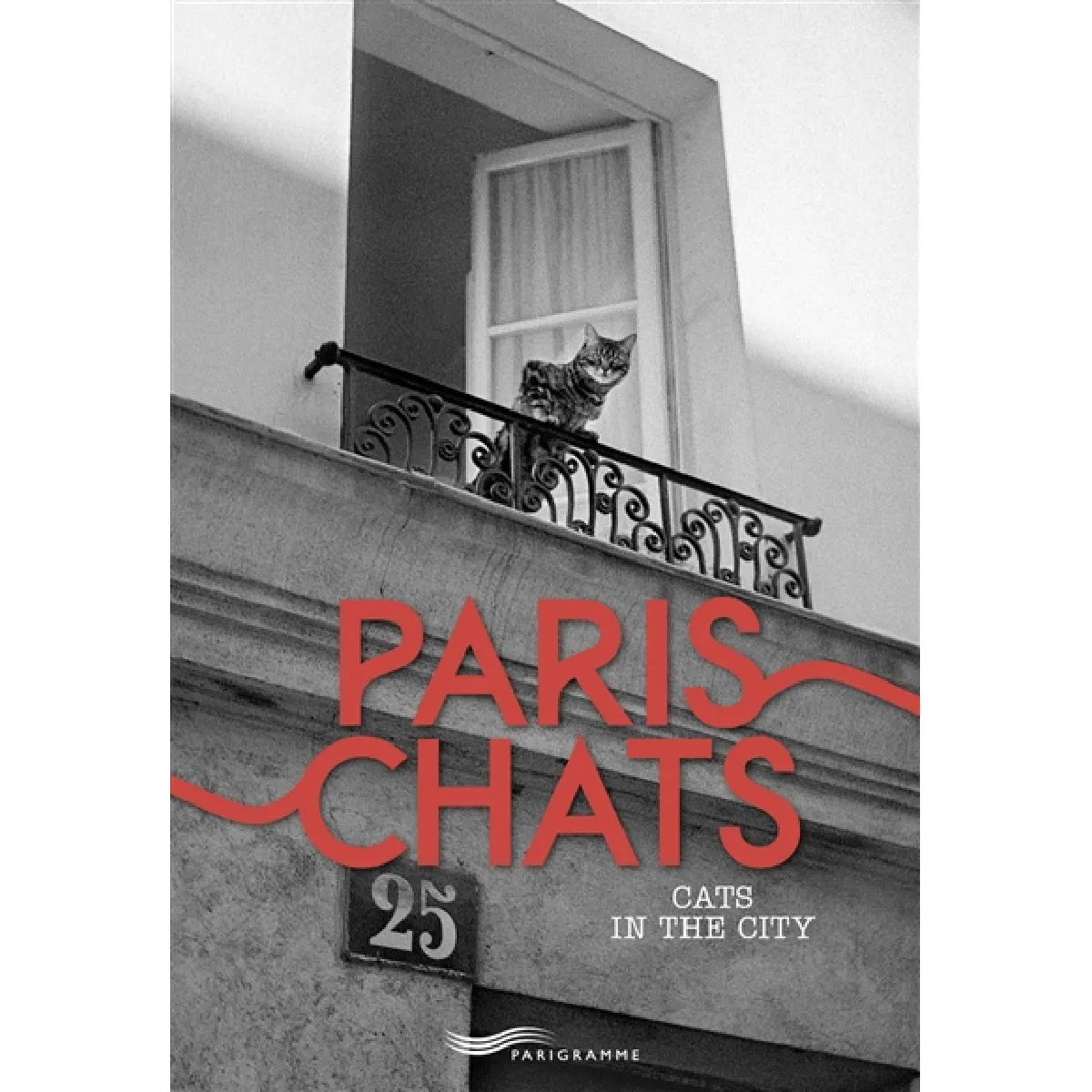 Paris chats. Cats in the city · Occasion