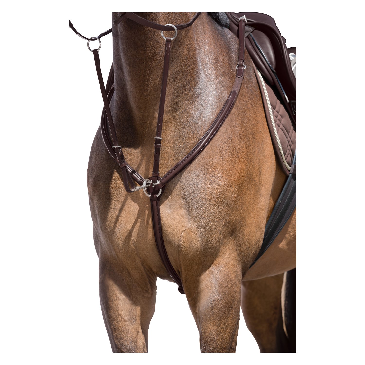 Cheval de Luxe Vorderzeug Miami  - havanna