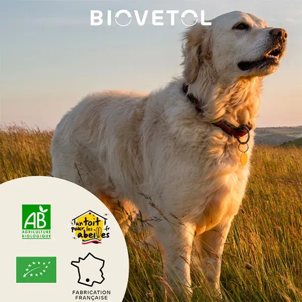 Biovetol - Poudre Protect'Immun Bio Grand Chien >10kg - 90g