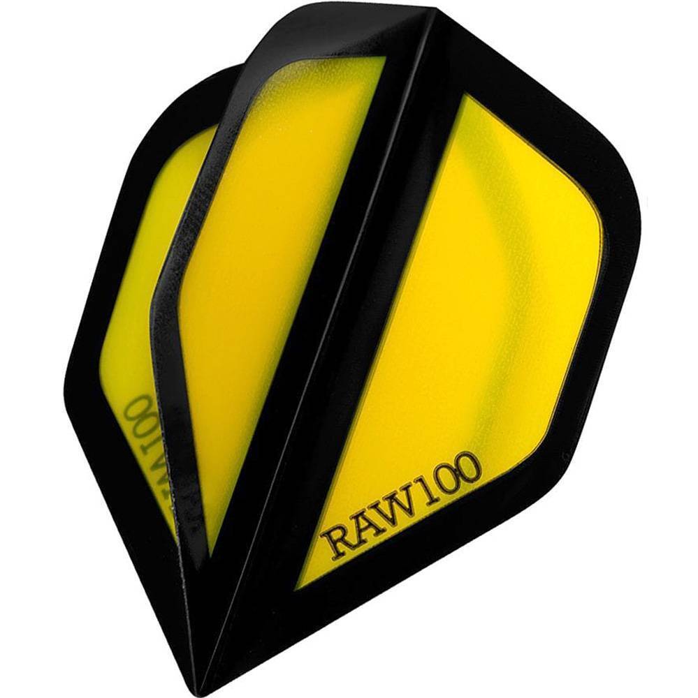 DartSturm - Raw 100 Window Dartflight - Standard