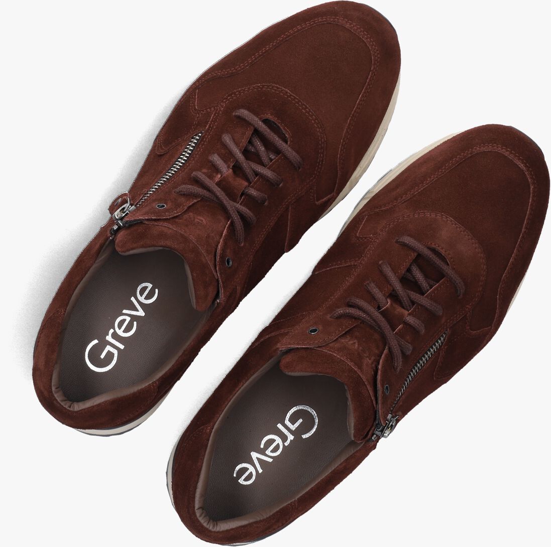 bruine greve lage sneakers haarlem k