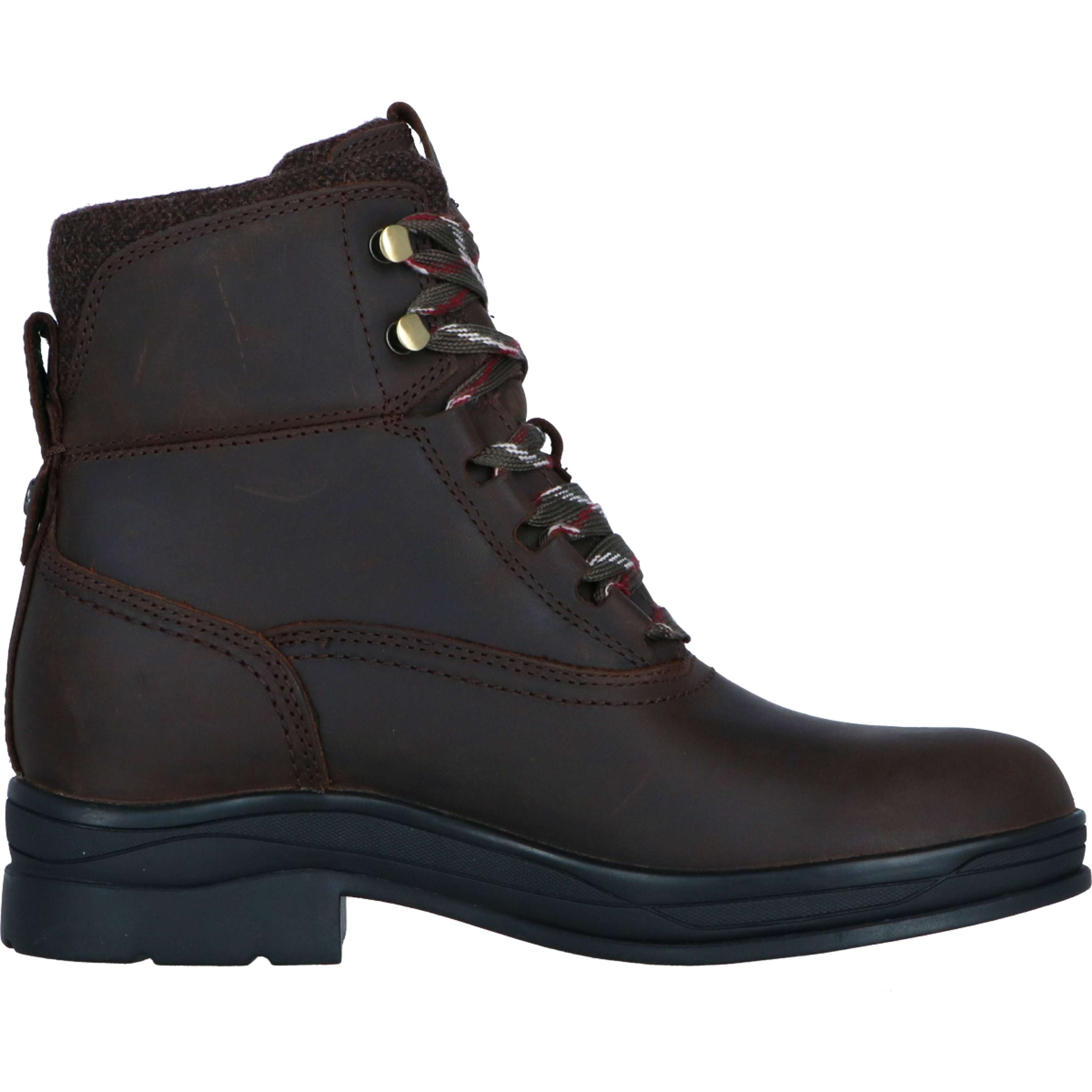 Ariat Stalschoenen Harper Waterproof Dames Chocolat/Willow