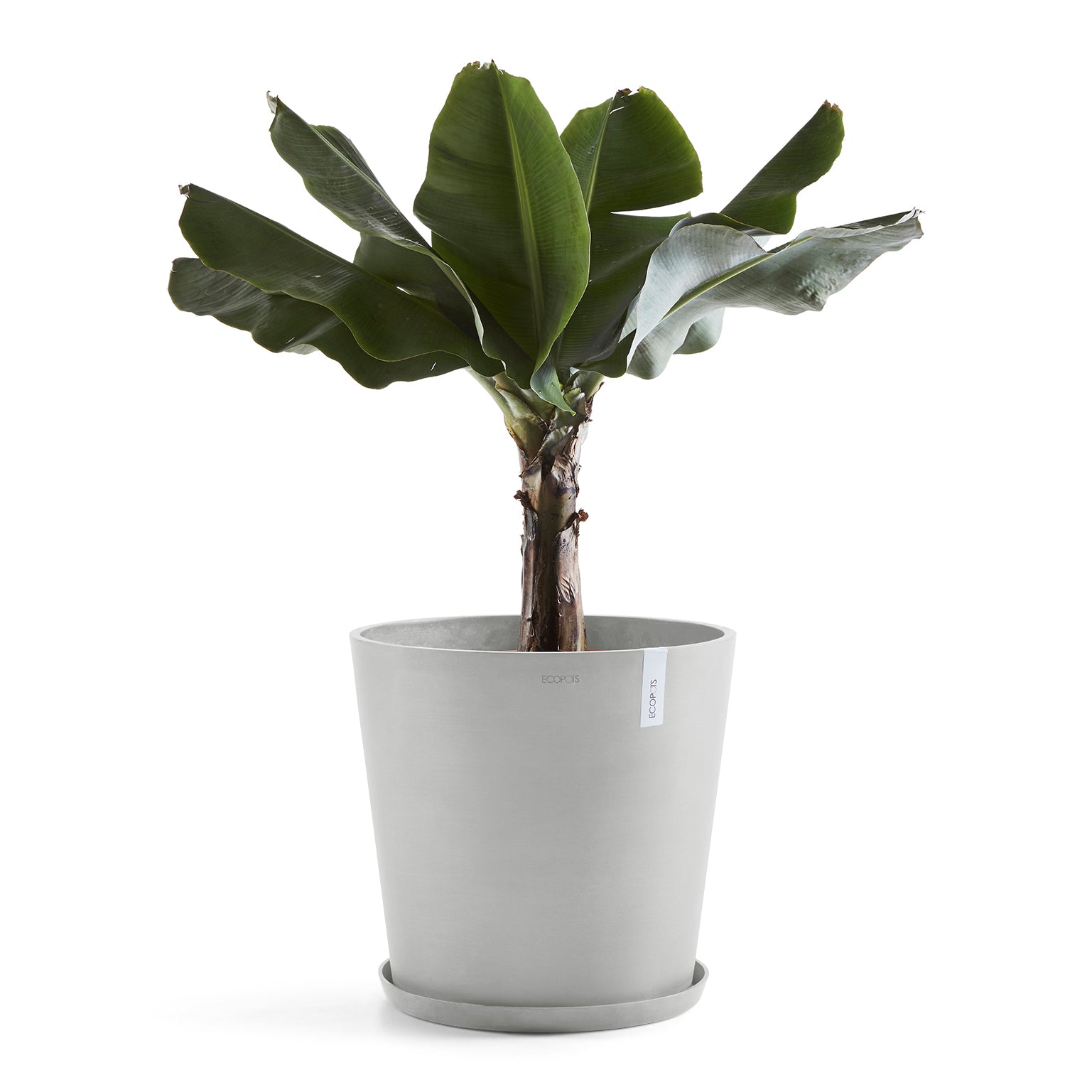 Ecopots Amsterdam 60