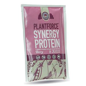 Synergy Protein Berry 20 g