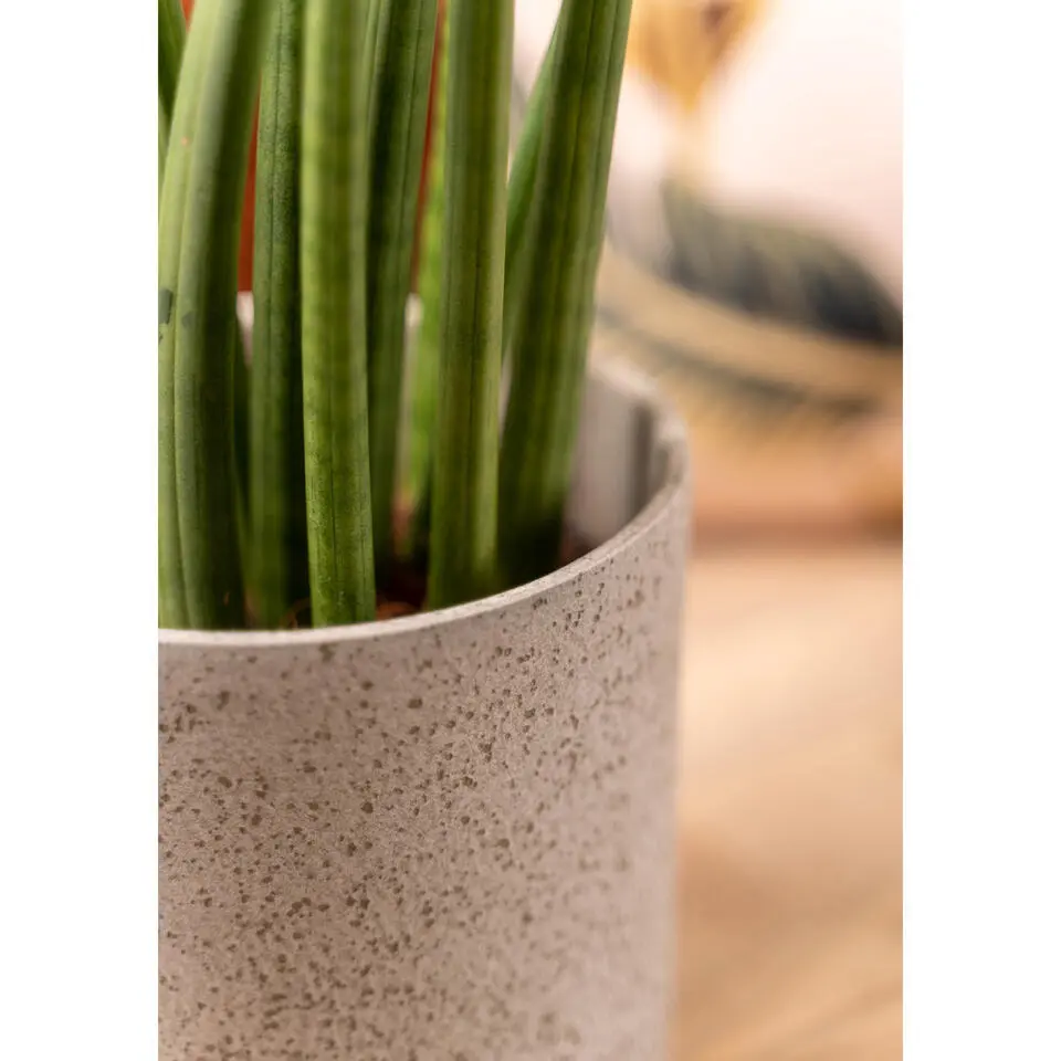 Hakbijl Plantenpot/bloempot Cindy - wit - keramiek - D13 x H13 cm