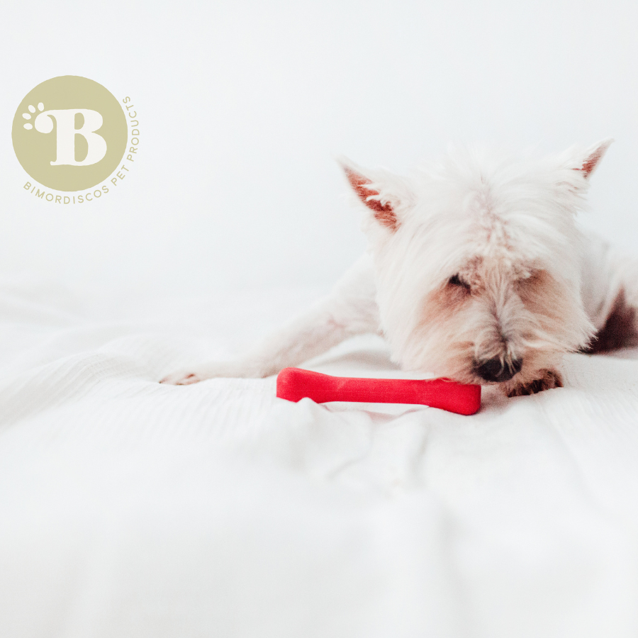 Osso elástico BIMORDISCOS para cães
