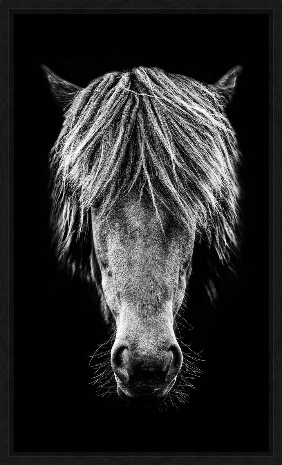 Islander by Claudio Gotsch - Limited Edition. Edition of: 100. Signed.