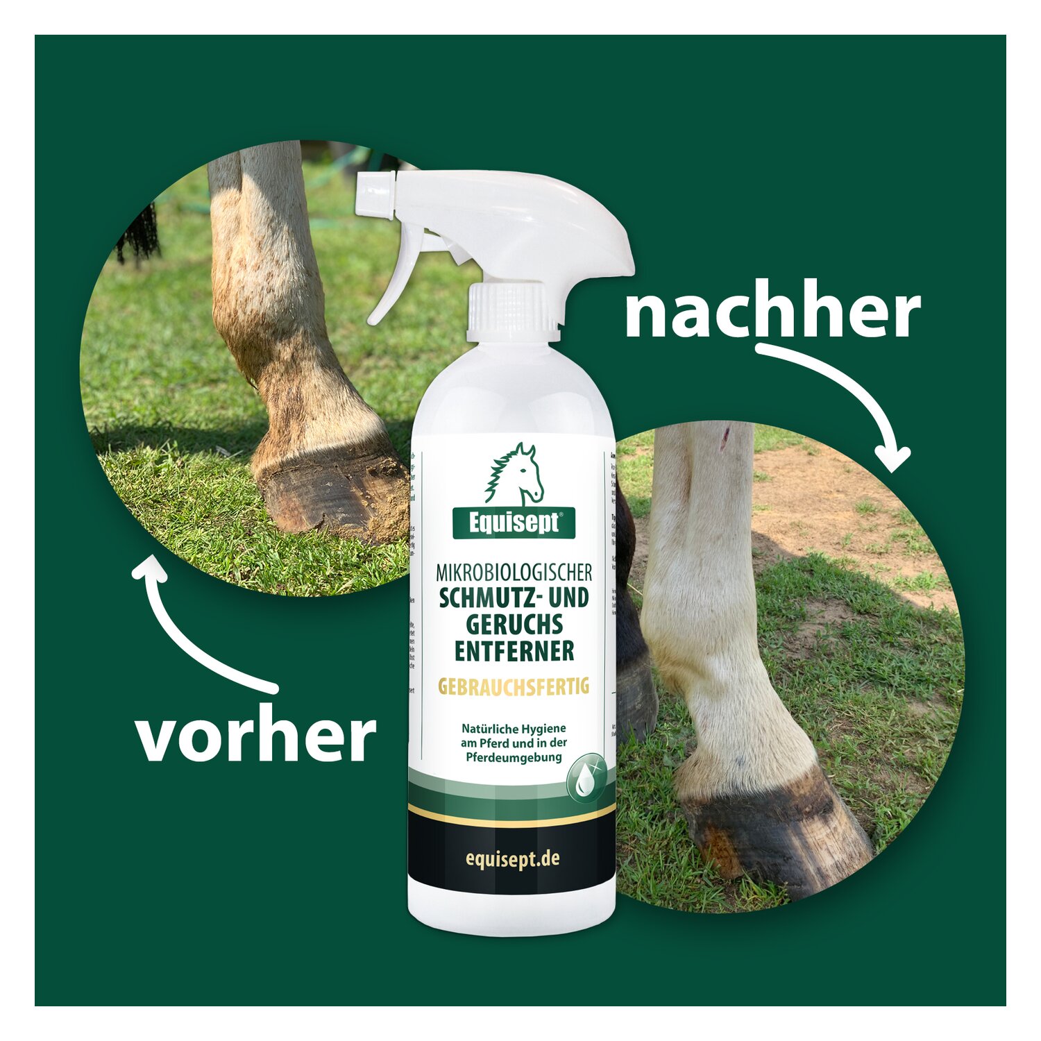 Equisept Schmutz- und Geruchsentferner  - 750 ml