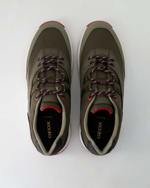 Geox Terrestre Sneaker in Grün