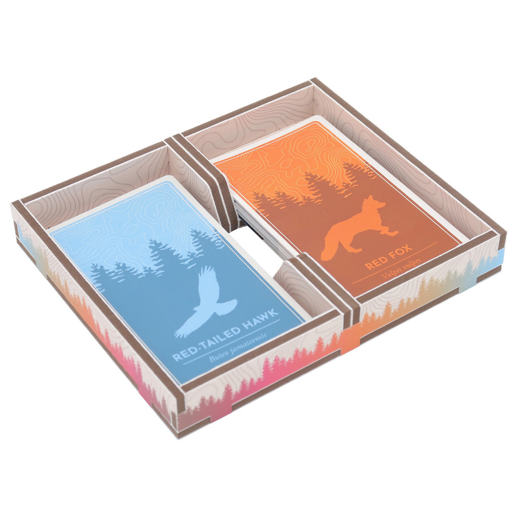 Rangement pour Boîte Folded Space - Cascadia