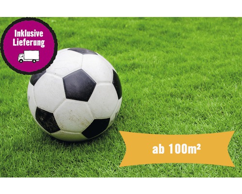 Professioneel gewalst graszoden voor sportvelden, minimale afname 100 m², dagelijks vers gesneden.