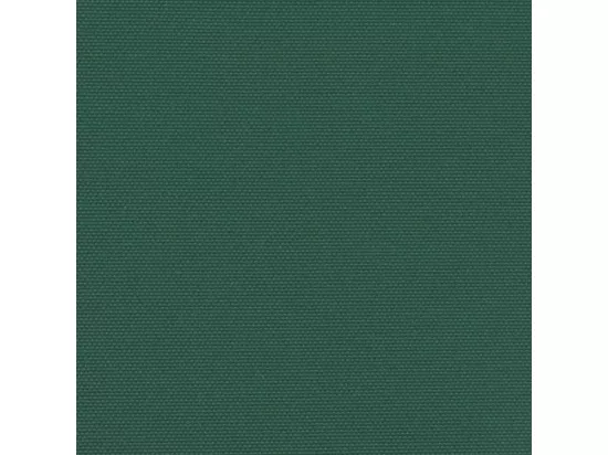 Auvent latéral rétractable vert foncé 220x300