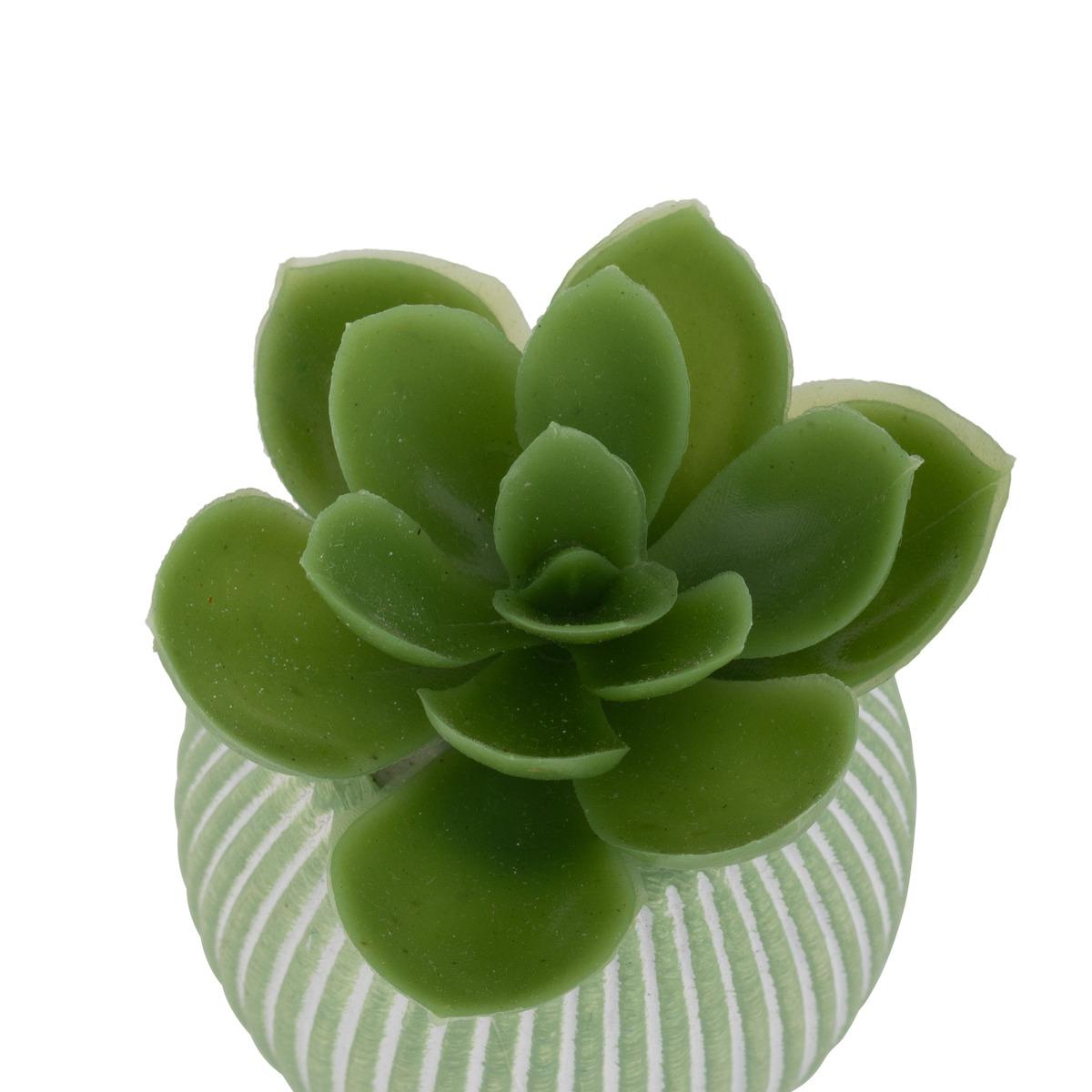 MINI PLANTE GRASSE POT CIMENT UBI H.7CM
