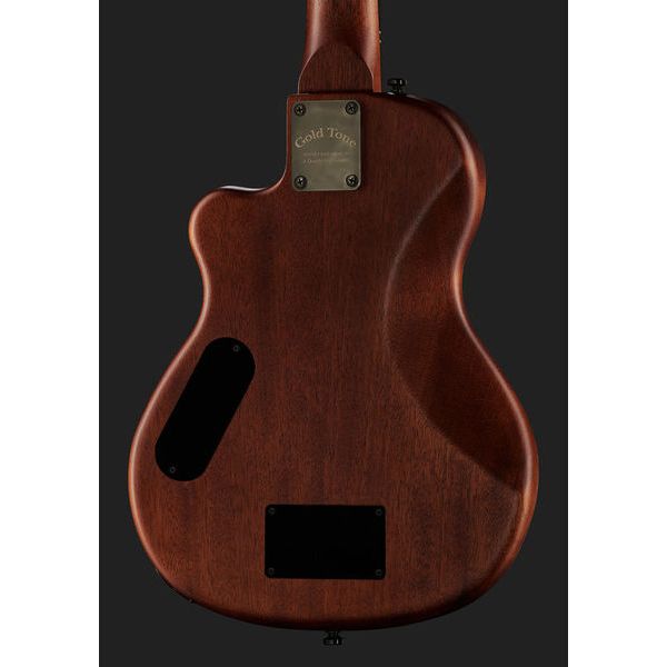 Gold Tone ME-BASS/Fretless