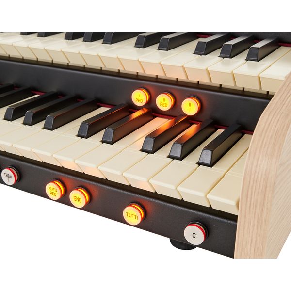 Viscount Cantorum Duo Plus