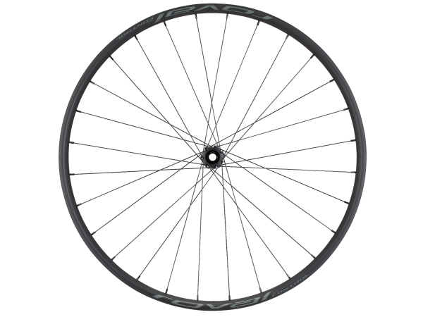 Roval Control Alloy 350 29