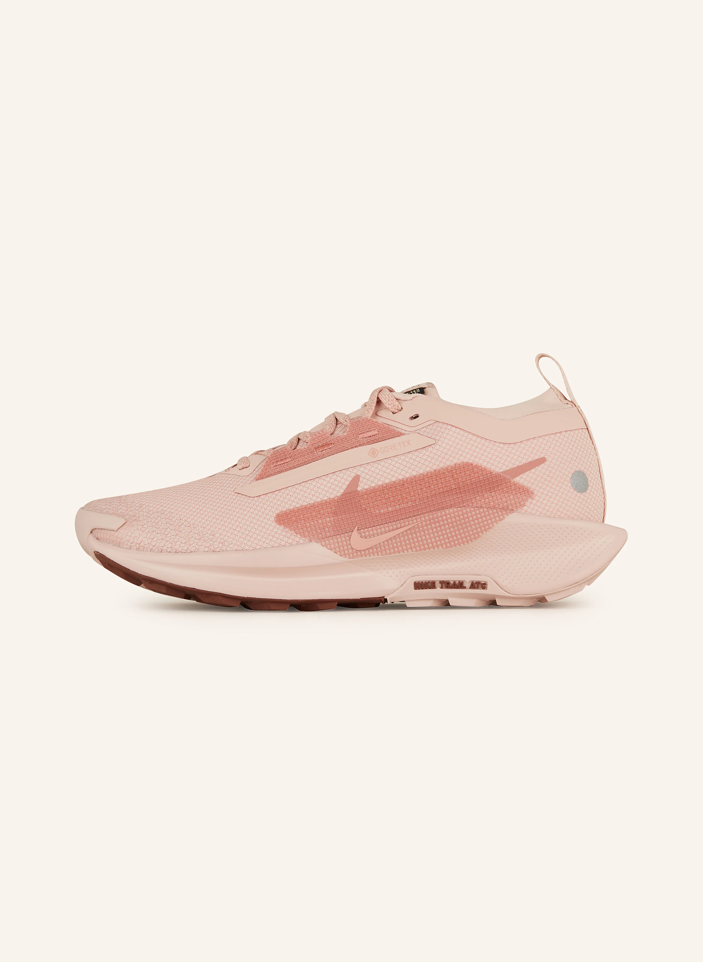 Nike Trailrunning-Schuhe PEGASUS TRAIL 5 GTX